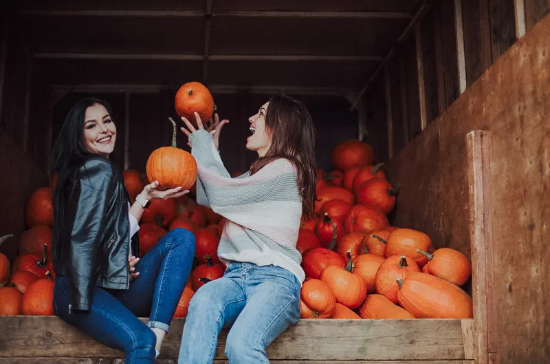 Crystal Spring Pumpkin Patch photo