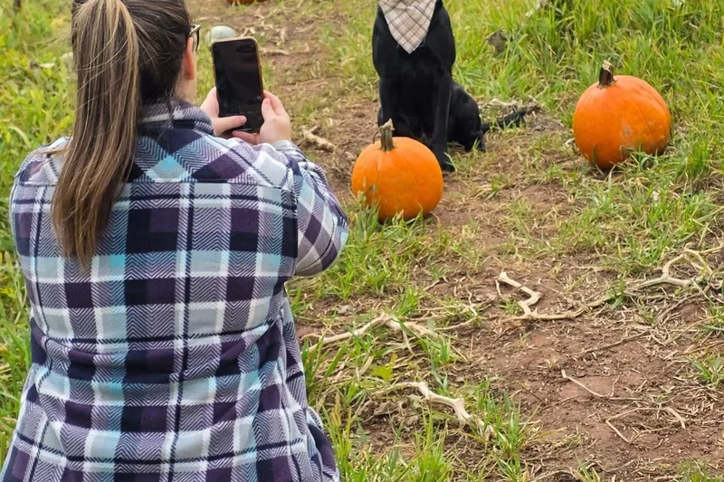 Fields of Adventure photo