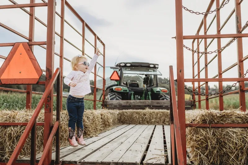 Golden Valley Farms