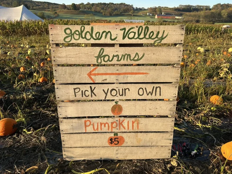 Golden Valley Farms photo