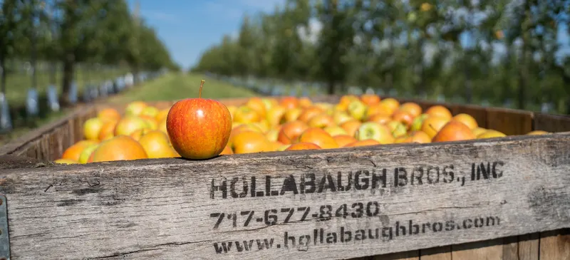 Hollabaugh Bros., Inc.