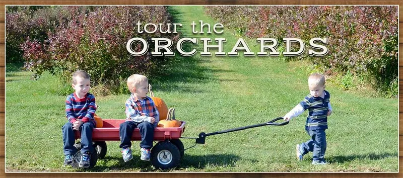 Paulus Mt. Airy Orchards
