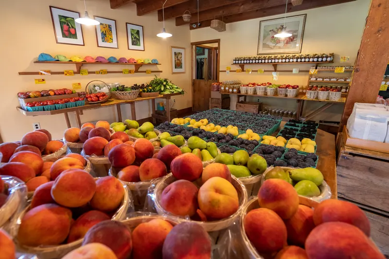 Solebury Orchards photo