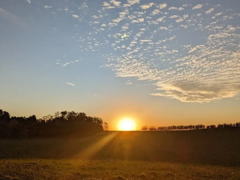 Sycamore Spring Orchard Harvest Festival photo
