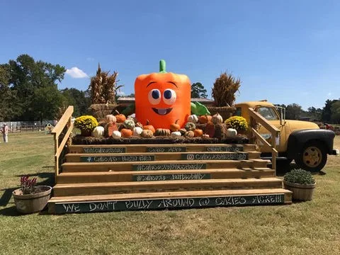 Calie's Acre Pumpkin Patch photo