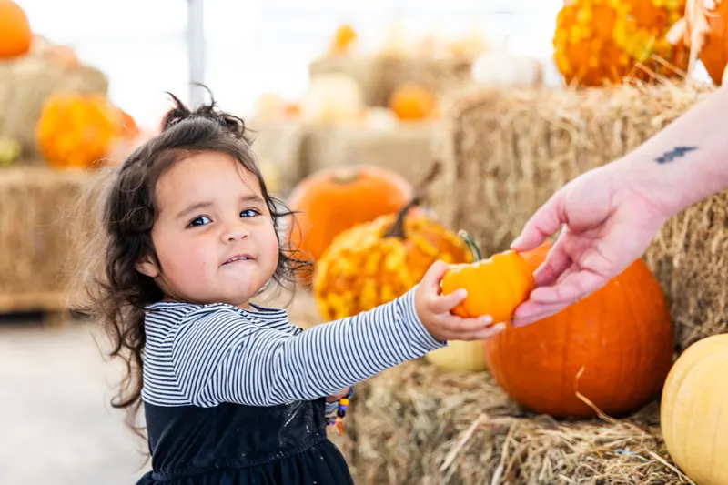 Hill Country Pumpkins