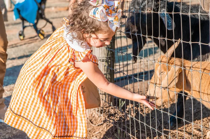 Mainstay Farm photo