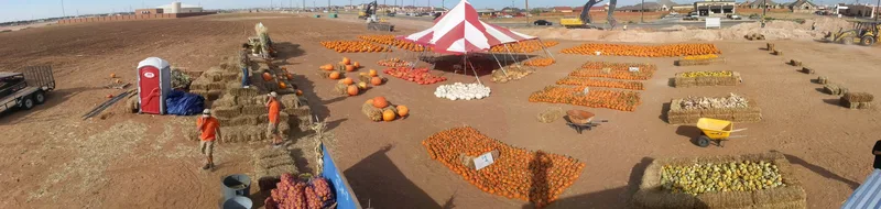 Malta Farms Pumpkin Patch photo